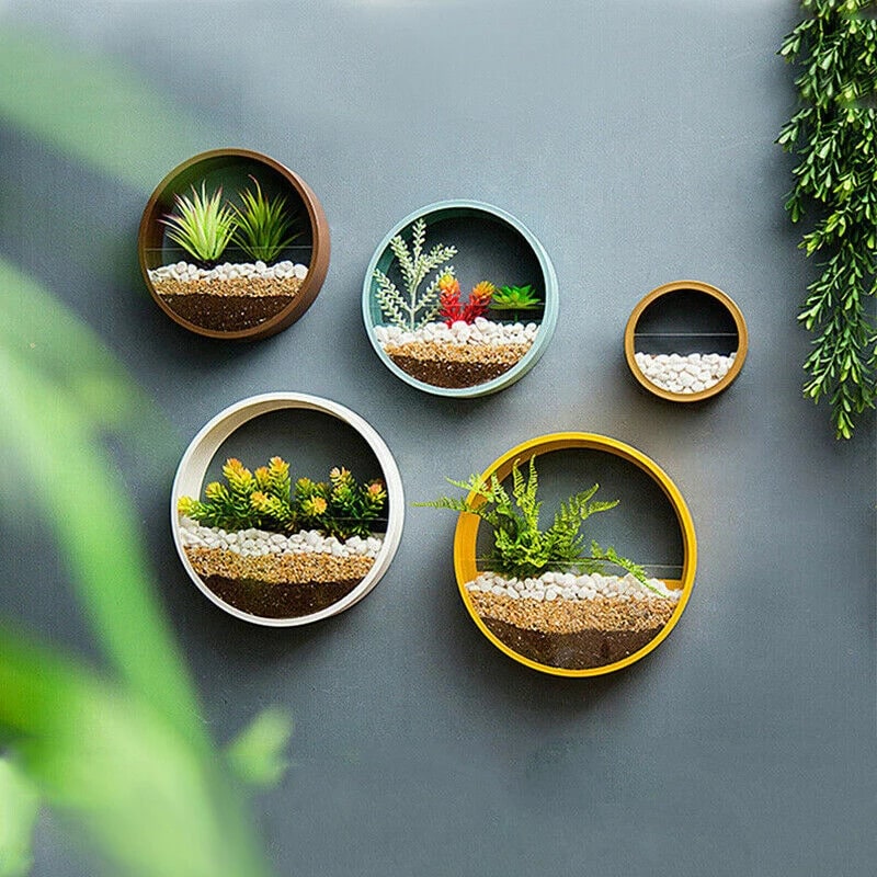Vertical Wall Planter with Transparent Front for Stylish Greenery