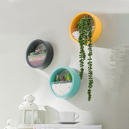 Vertical Wall Planter with Transparent Front for Stylish Greenery