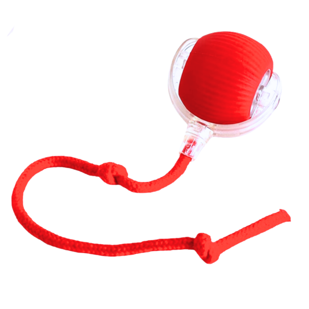 Smart Rolling Cat Play Ball with Interactive Rope Tail