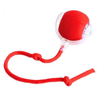 Smart Rolling Cat Play Ball with Interactive Rope Tail
