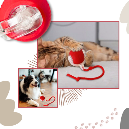 Smart Rolling Cat Play Ball with Interactive Rope Tail