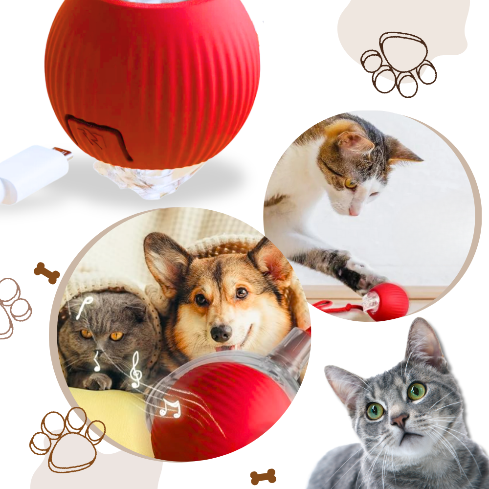 Smart Rolling Cat Play Ball with Interactive Rope Tail