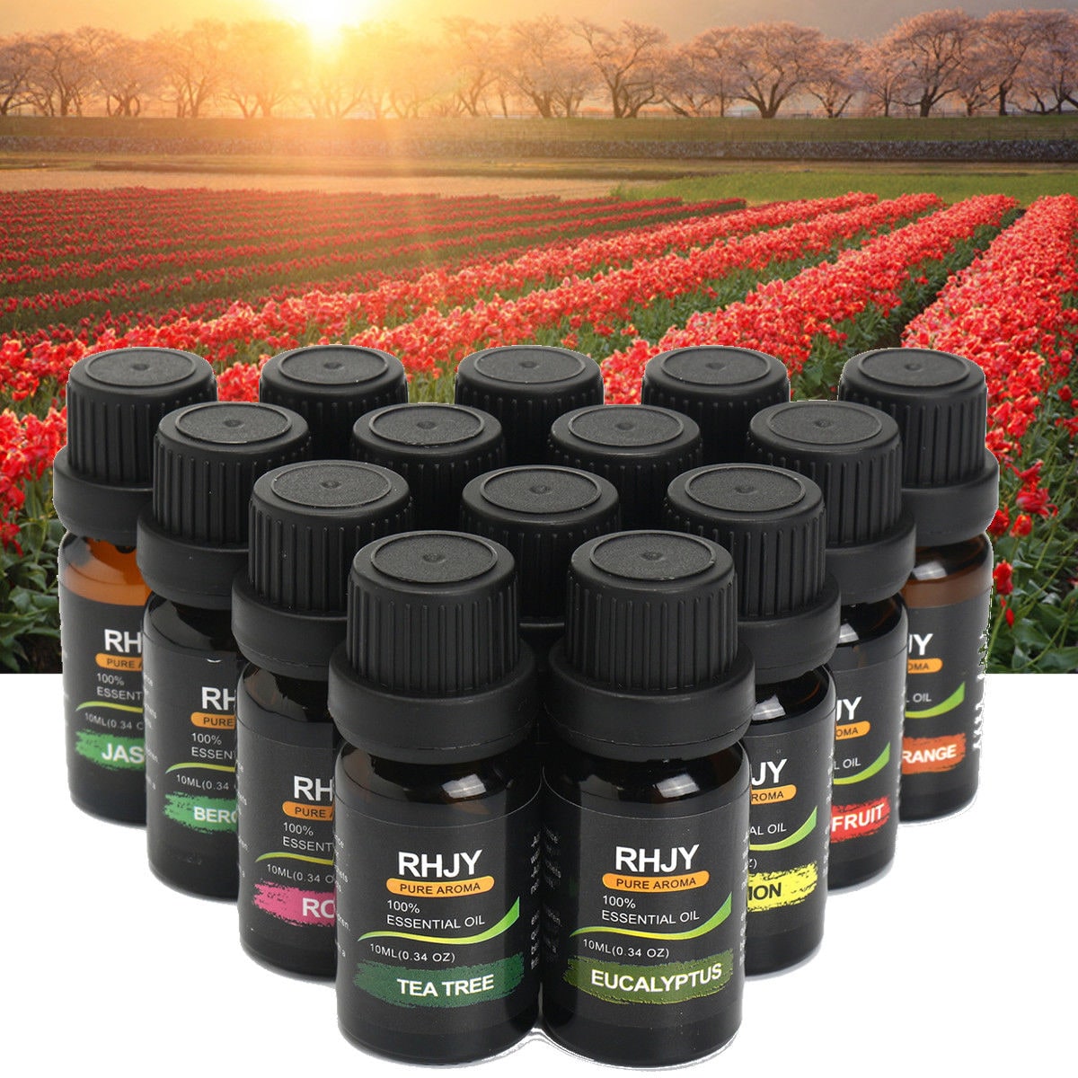 Calming Essential Oil Collection in Amber Glass – 14 Bottles