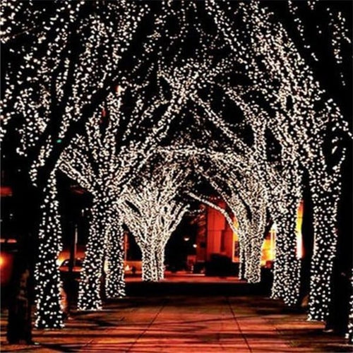 Solar-Powered LED Garden String Lights – 100 Bulbs for Outdoor Charm