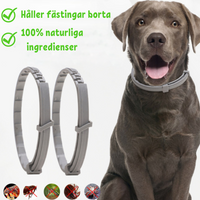 1-Pack (110 kr)