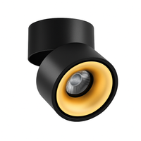 Black and Gold