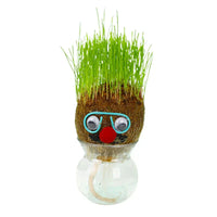 Green Grass Glasses